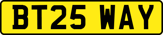 BT25WAY