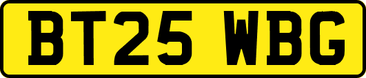 BT25WBG