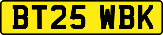 BT25WBK