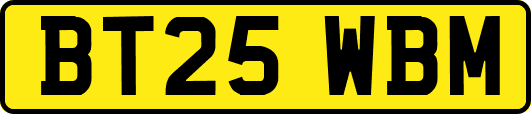 BT25WBM
