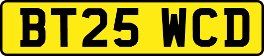 BT25WCD