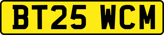 BT25WCM