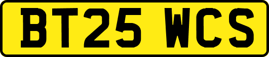 BT25WCS