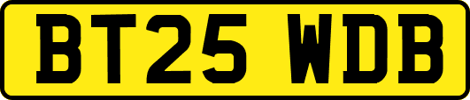 BT25WDB