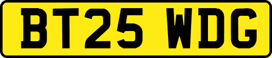 BT25WDG