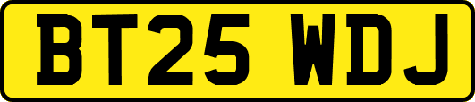 BT25WDJ