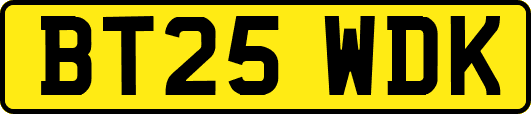 BT25WDK