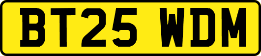 BT25WDM