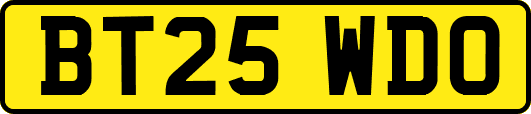 BT25WDO