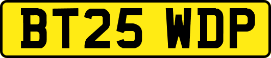 BT25WDP