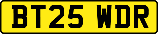 BT25WDR