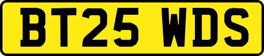 BT25WDS