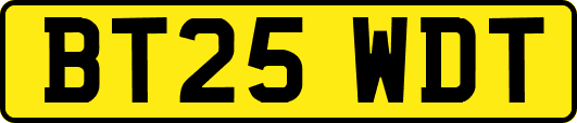 BT25WDT