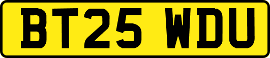 BT25WDU