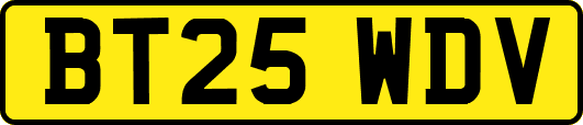 BT25WDV