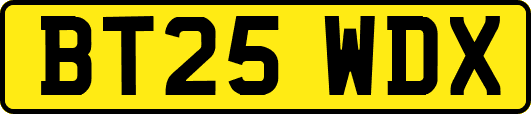 BT25WDX