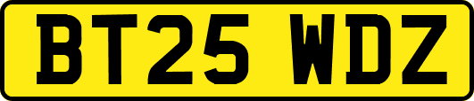 BT25WDZ