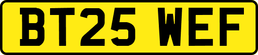 BT25WEF
