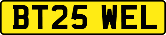 BT25WEL
