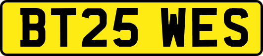 BT25WES