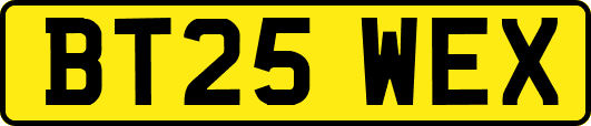 BT25WEX