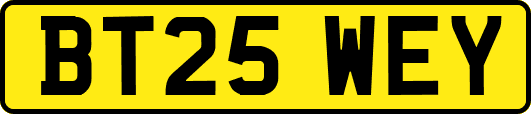 BT25WEY