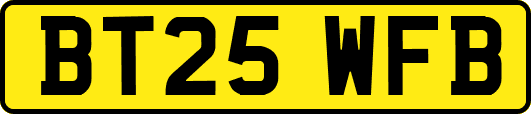 BT25WFB