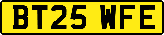 BT25WFE