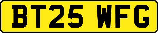 BT25WFG