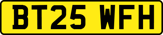 BT25WFH