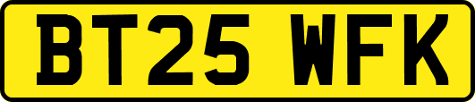 BT25WFK
