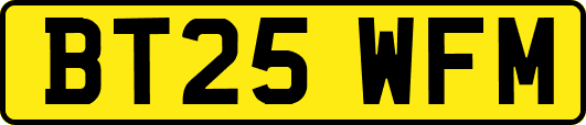 BT25WFM