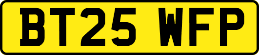 BT25WFP