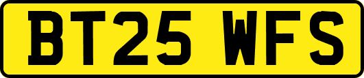BT25WFS