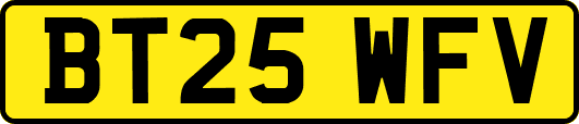 BT25WFV