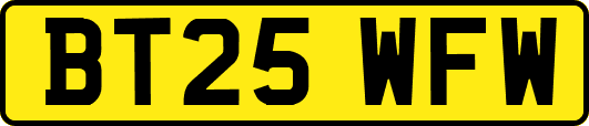 BT25WFW