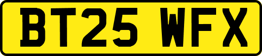 BT25WFX