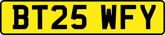 BT25WFY
