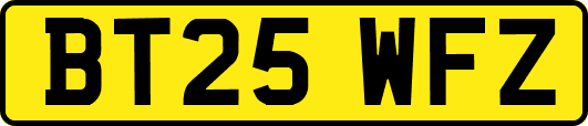 BT25WFZ