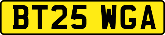 BT25WGA