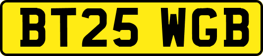 BT25WGB