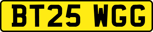 BT25WGG