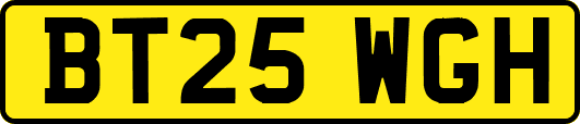 BT25WGH