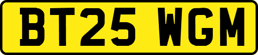 BT25WGM
