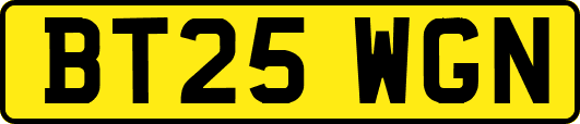 BT25WGN
