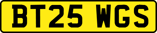 BT25WGS