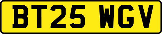 BT25WGV