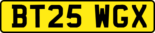 BT25WGX