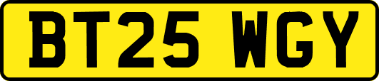 BT25WGY