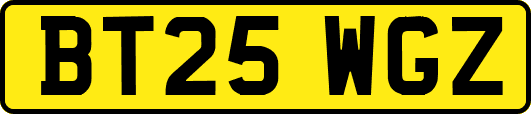 BT25WGZ